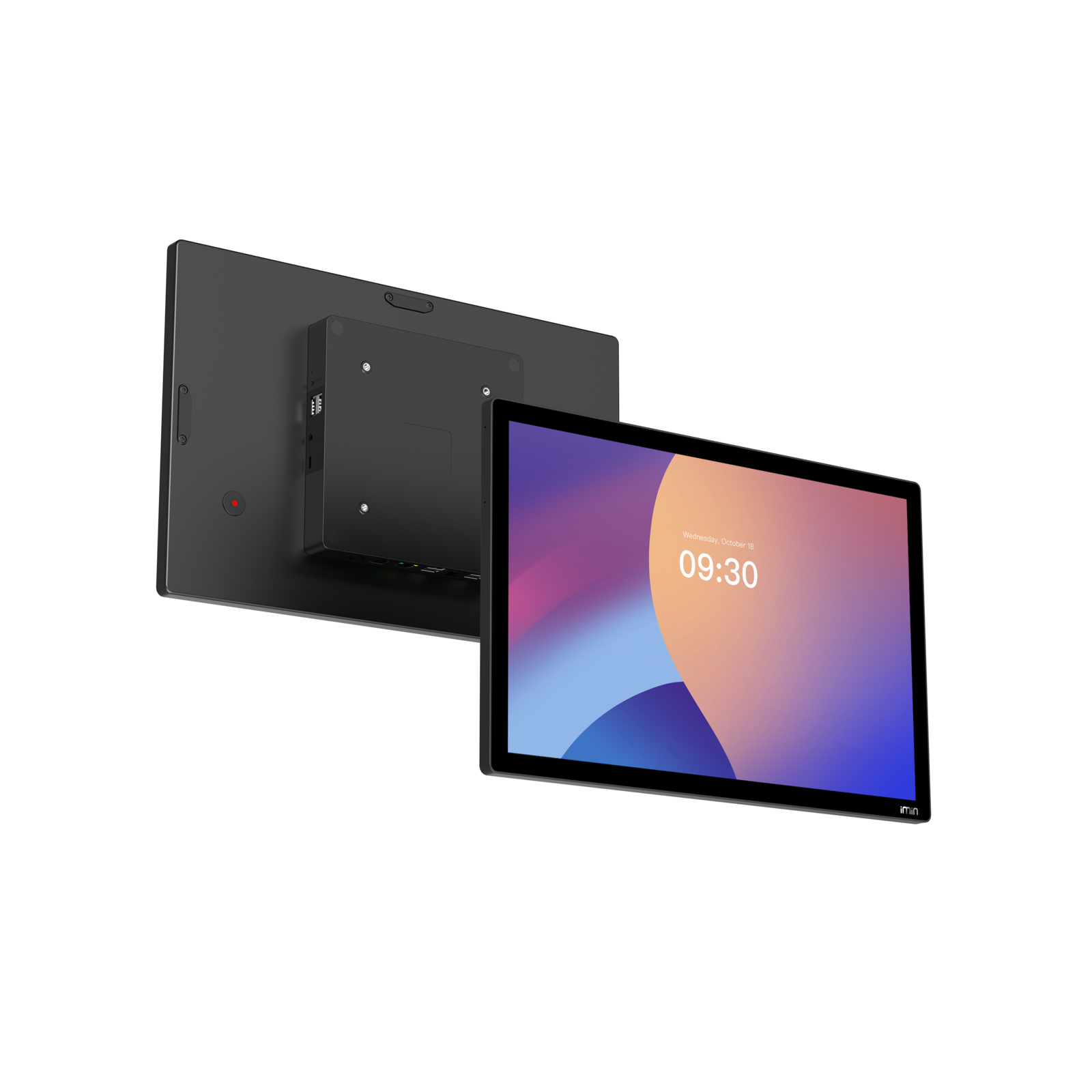 Organic Vegetable Box